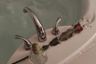 😘🤑💄💋 Sweet, Meet, And Discreet! 😘🤑💄 The One and Only 🤩 💋 Outcalls specials tonight 🍭💋 - Image 11